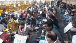 Delhi: On Strike, Municipal Mosquito Breeding Checkers Press for Written Assurances