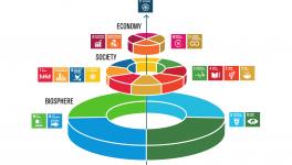 SDG India Index