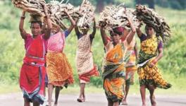 Adivasi women