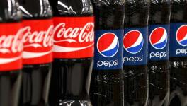 NGT Fines Coca-Cola Bottler $2m, PepsiCo Bottler $1.3m for Damaging Environment in India