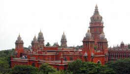 Provide specific reservation for transgenders: Madras HC
