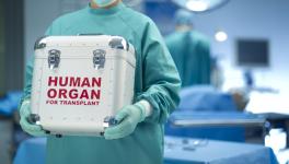 Absence of 'Cadaver Organ Donation' Rules Impedes Crucial Transplants in Chhattisgarh