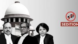 Sedition case in Supreme Court: Government may have gained time, but its options are limited