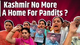 After Rahul Bhat’s Killing, Kashmiri Pandits Don’t See a Home in Kashmir?