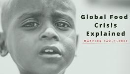 Mapping Faultlines. The Real Reasons for the Global Food Crisis