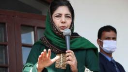 Kashmir Parties Slam Arrest of Alt News Co-founder