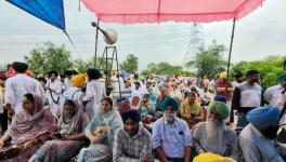 Activists Celebrate After Punjab Govt Scraps Textile Park at Mattewara Forest and Satluj River
