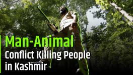 Climate Change, Water Scarcity Increases Man-Animal Conflict in Kashmir