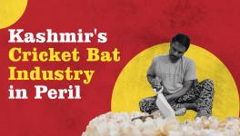 Kashmir's Cricket Bat Industry in Peril