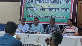 In a total apple economy of Rs 14,000 crore, apple farmers are receiving only Rs 4,000 crore in the value chain, say orchardists who arrived in Delhi to apprise the Union agricultural minister of the “crisis situation”.