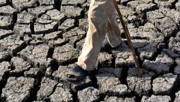 A man walks on a parched bed in drought-affected Vena Dam on a hot summer day in Nagpur