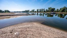 European rivers such as the Danube are dangerously low after months of drought