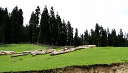 Doodhpathri. Nature, scenery in the Himalayas, southwest Jammu and Kashmir