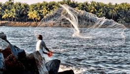 Kerala Fisherfolk