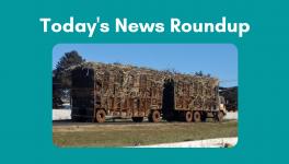 TODAY'S NEWS ROUNDUP