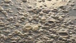 Scientists Find Dangerous ‘Forever Chemicals’ May be Degraded by Simpler Ways