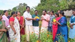 MLA IB Satheesh inaugurating the cultivation of flowers in Kattakada Panchayat in the presence of president and councillors (courtesy: IB Satheesh)