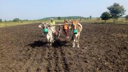 A farmer and his wife till their land in Shukrawasa village, Dewas district, Madhya Pradesh.