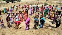MGNREGA: Nearly 1.5 crore Job Seekers Refused Work Till Now