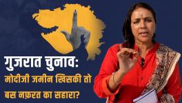 Furore in the BJP over Gujarat Elections, the Whole 'Hate' Team out to Campaign 