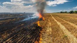 Stubble Burning