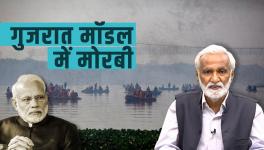 Who's Real Culprit of Morbi