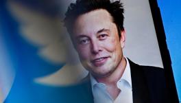Elon Musk defends Twitter layoffs amid misinformation fears