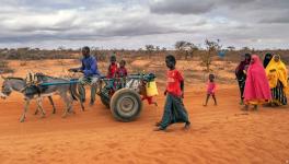 Somalia's food crisis claims young lives