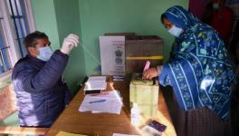 A woman casts her vote for the first phase of the District Development Council (DDC) elections, at Gund in Ganderbal district of central Kashmir.