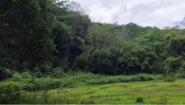 Kerala: LDF Govt Justifies Demand Seeking Exemption from ESZ Around Protected Areas