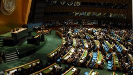 COP15: ‘Historic’ Biodiversity Agreement Reached at UN Conference