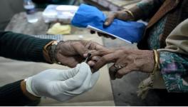 A voter gets her finger marked with indelible ink before casting her vote for the MCD polls, at a polling station in Majnu-ka-tilla area, in North Delhi