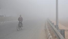 Temperature in Delhi dipped to its lowest in two years on Thursday. Credit: Wikimedia Commons
