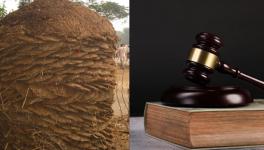 cow dung court order