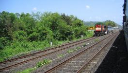 Wildlife Expert Panel Red-Flags Western Ghat Rail Project Despite Aggressive Push by Karnataka