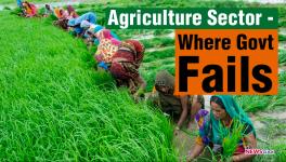 'Govt Should Ensure Minimum Income to Farmers'