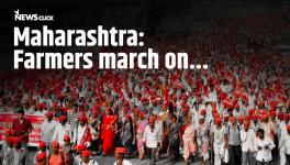 Maharashtra: Farmers March Again, Expose Govt's Hollow Promises!
