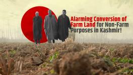 Alarming Conversion of Farm Land for Non-Farm Purposes in Kashmir!