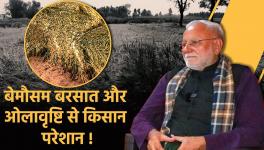 Haryana- Unseasonal Rain a Disaster for Farmers, Crops Heavily Damaged! 
