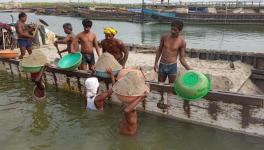 Bihar Tops List of Deaths Caused by Illegal Sand Mining in Eastern States