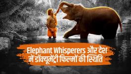 Oscar for Elephant Whisperers- Ray of Hope for Struggling Docu Makers in India?