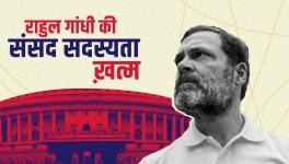 Rahul Gandhi Disqualified from Parliament, What Next? 