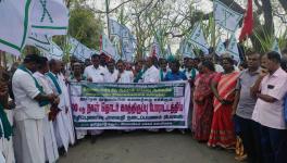 Sugarcane farmers protest in Tamil Nadu.