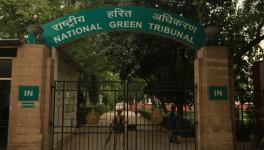 NGT, Orissa HC Red-Flag Green Signal to JSW Steel Project