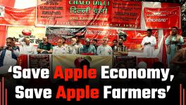apple farmers protest