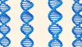 DNA