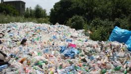 Researchers Hint at Plastic Becoming Part of Geology