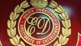 Delhi Liquor Policy: Fresh ED Raids, Including at Premises of AAP MP's Associates