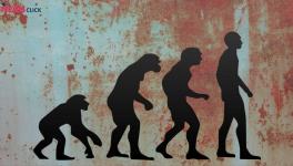 Omitting Darwinian Evolution from Textbooks Will Lead to More Superstition, Irrationality, Warn Experts