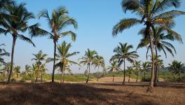 Land Use of over 1.75% of Goa Changed at the Behest of Real Estate Developers?